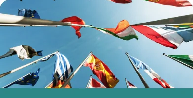 International small Internationaal